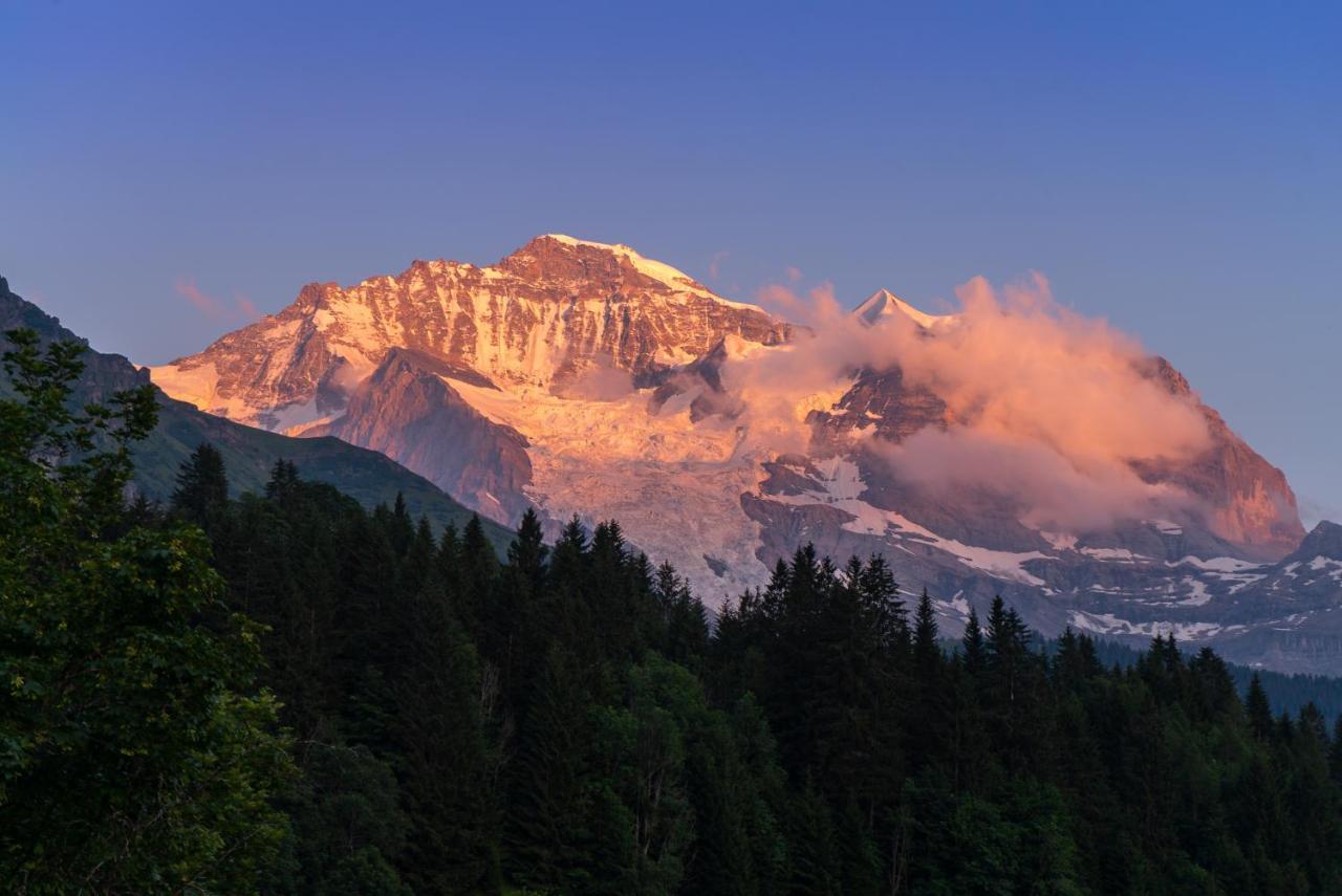 Chalet Acheregg Wengen Ngoại thất bức ảnh